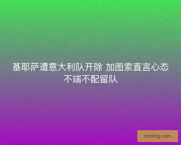基耶萨遭意大利队开除 加图索直言心态不端不配留队